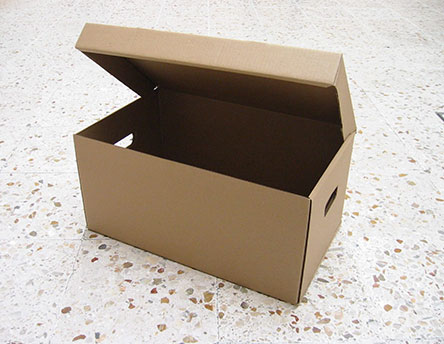 Caja archivo oficio o carta