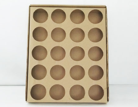 Cajas scs-20vas