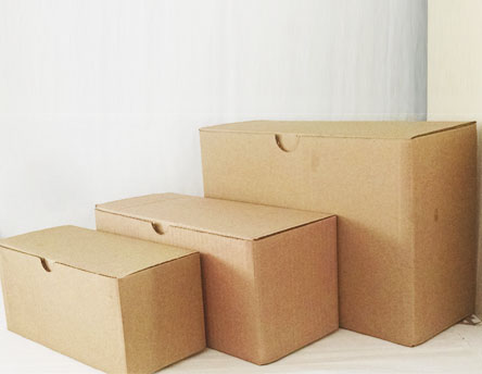 Caja scs-galle