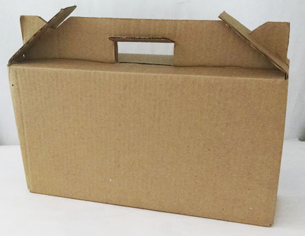 Caja scs-pcaca